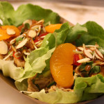 Asian Chicken Salad Wrap